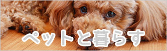 ペットと暮らせる